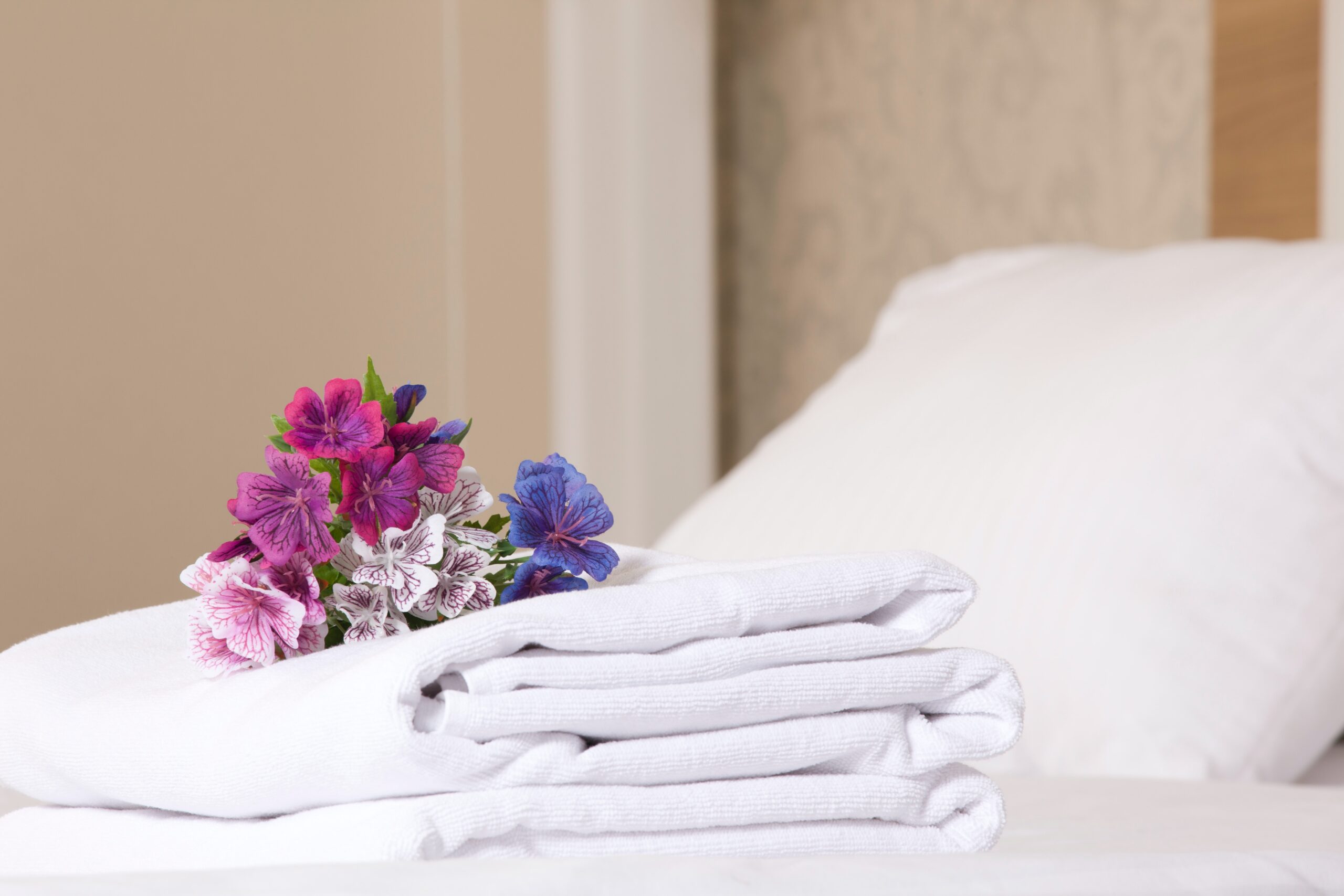 Evolution of Hotel Supplies